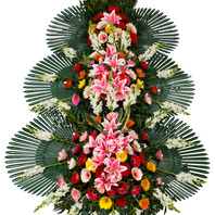 축하드립니다