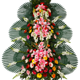축하드립니다